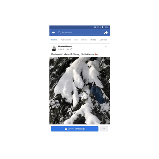 INFO_facebook_screen